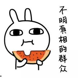 娱乐吃瓜酱用最大的恶意
